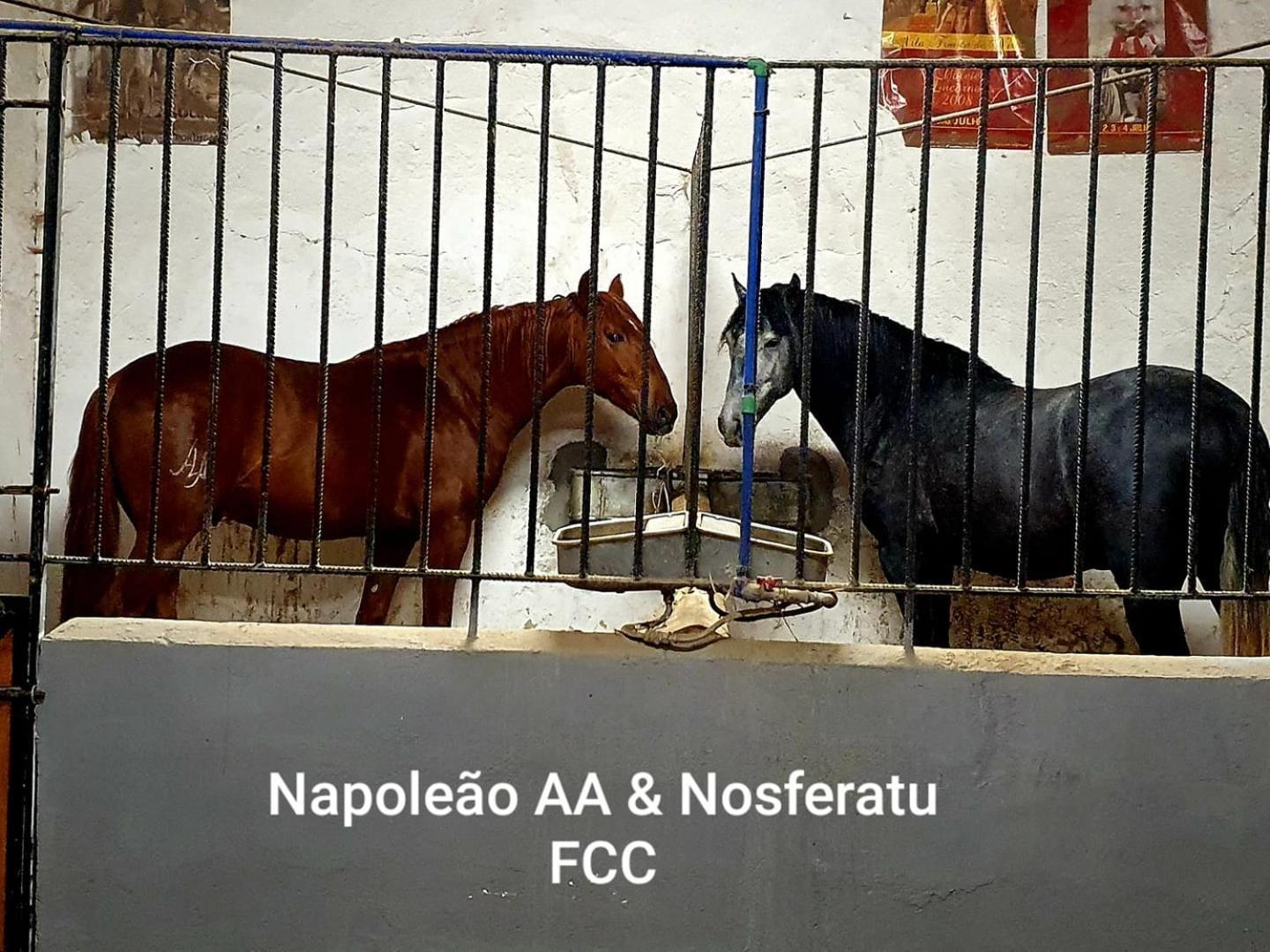 וילה פרנקה דה שירה Horse Riding Country House מראה חיצוני תמונה