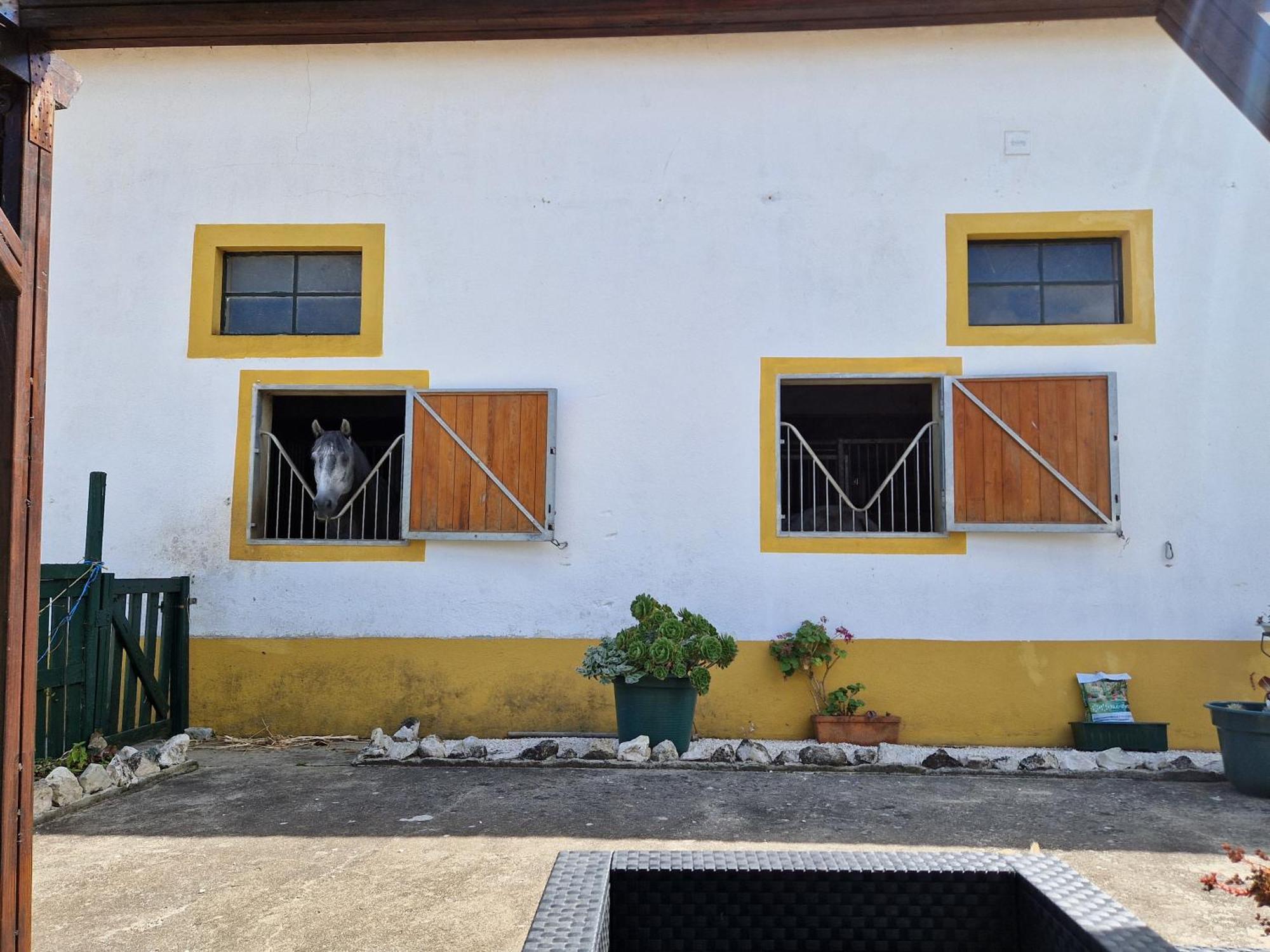 וילה פרנקה דה שירה Horse Riding Country House מראה חיצוני תמונה