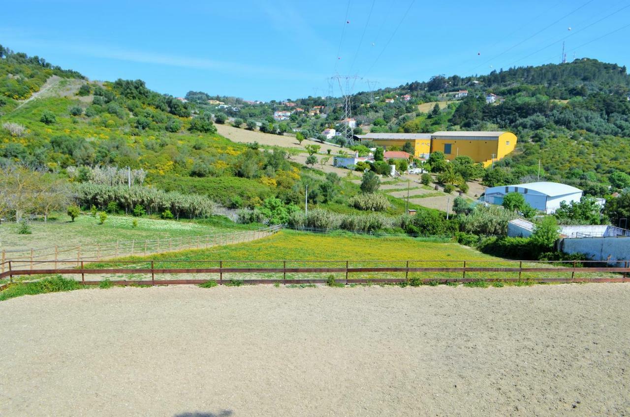 וילה פרנקה דה שירה Horse Riding Country House מראה חיצוני תמונה